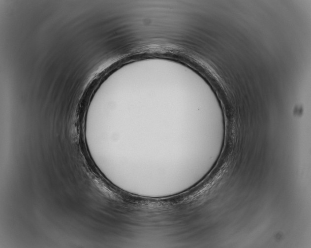 X0000099511018200806121434