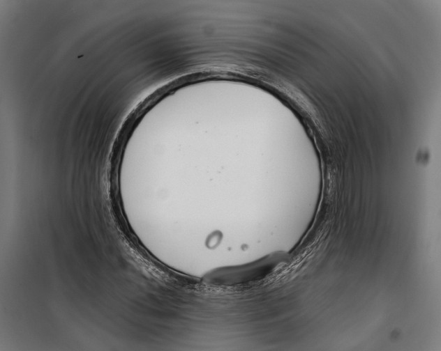 X0000099511020200806121434