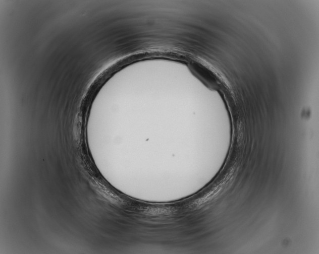 X0000099511021200806121434