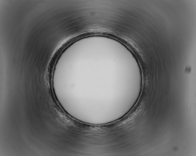 X0000099511022200806121434
