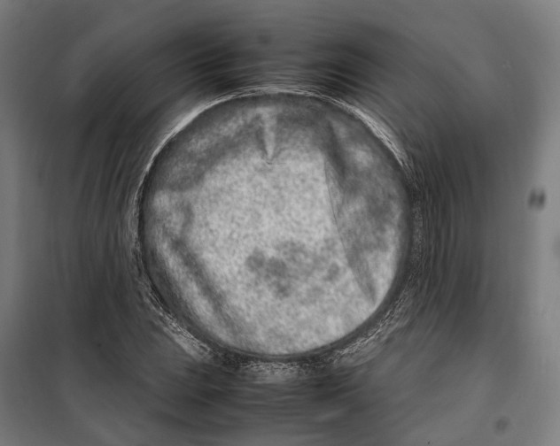 X0000099511023200806121434