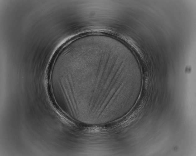 X0000099511024200806121434