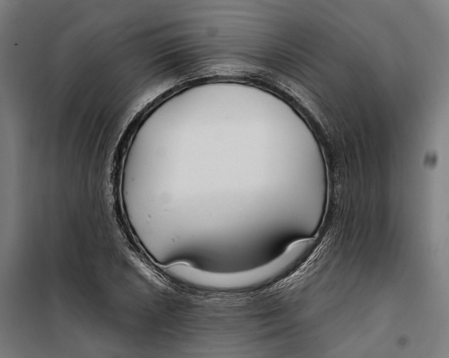 X0000099511026200806121434