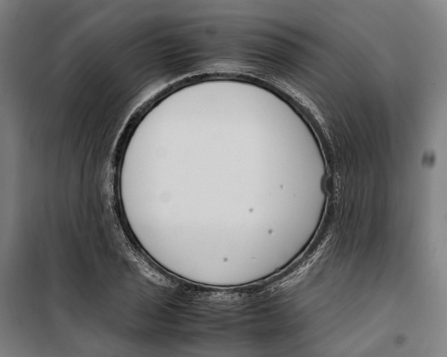 X0000099511029200806121434