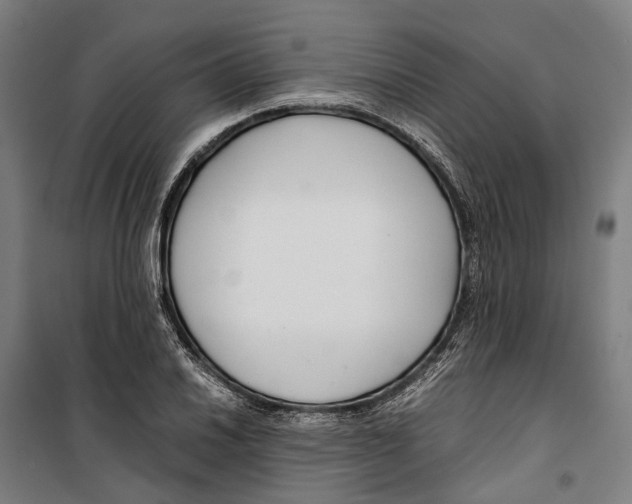 X0000099511030200806121434
