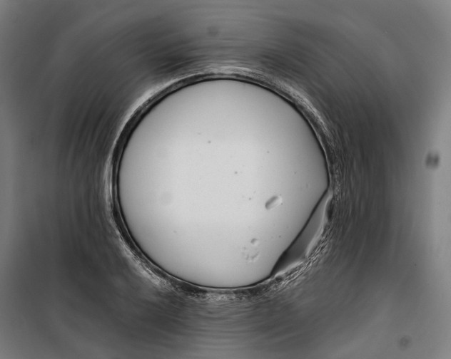 X0000099511032200806121434