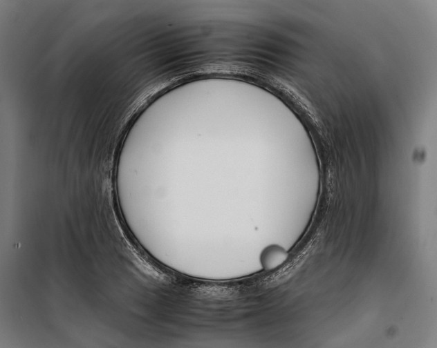 X0000099511033200806121434
