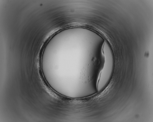 X0000099511034200806121434