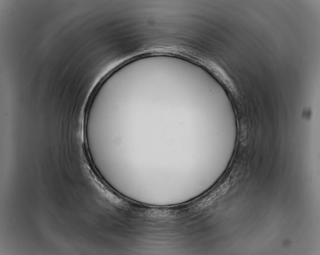 X0000099511036200806121434