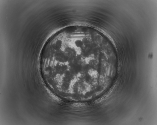 X0000099511037200806121434
