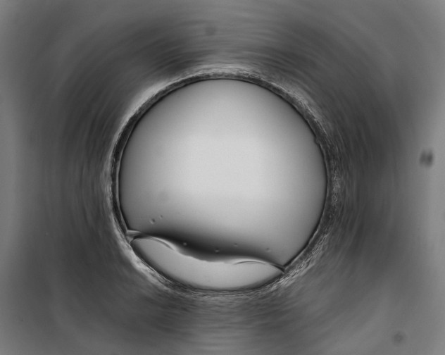 X0000099511038200806121434