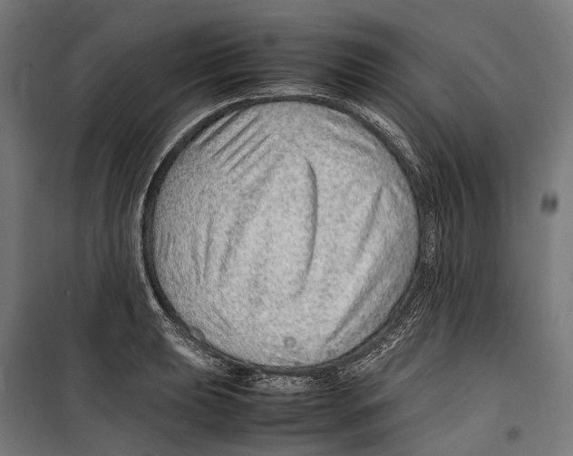 X0000099511039200806121434
