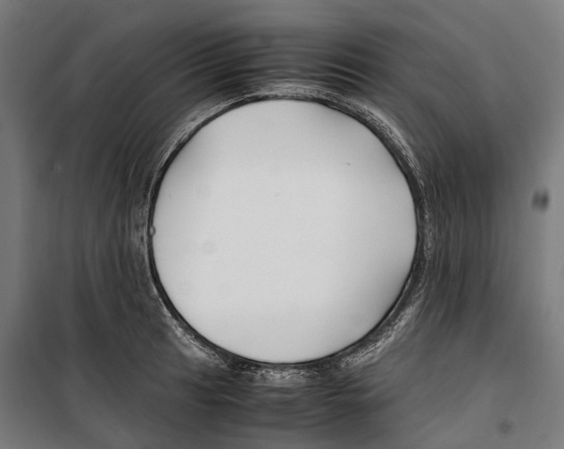 X0000099511041200806121434