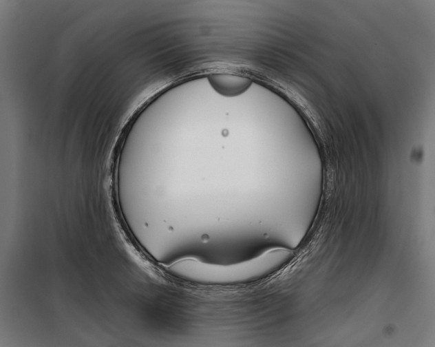 X0000099511042200806121434