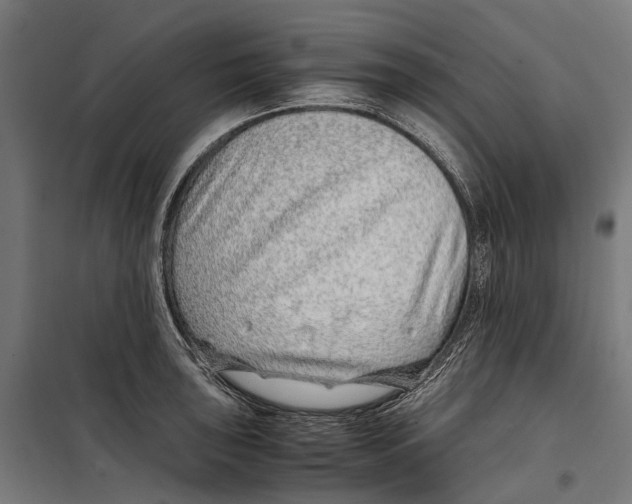X0000099511043200806121434