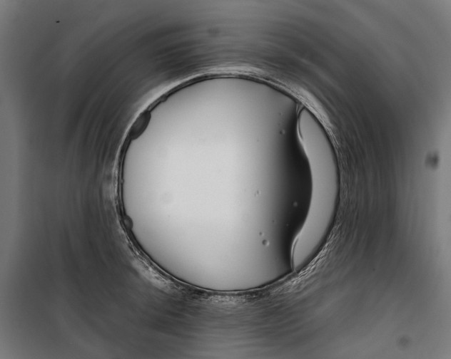 X0000099511044200806121434