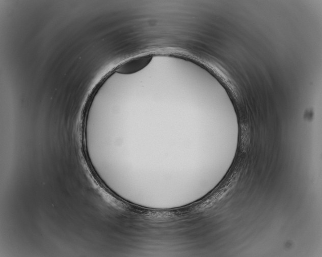 X0000099511046200806121434