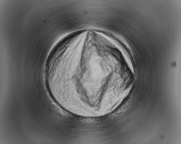 X0000099511048200806121434