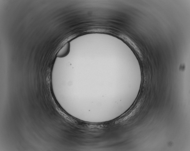 X0000099511049200806121434