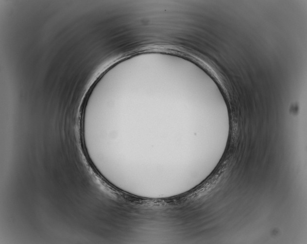 X0000099511050200806121434