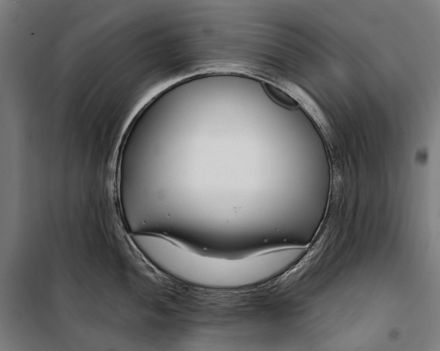X0000099511052200806121434