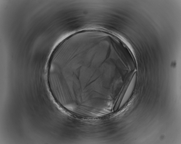 X0000099511053200806121434