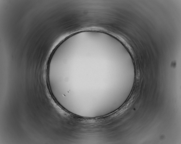 X0000099511054200806121434