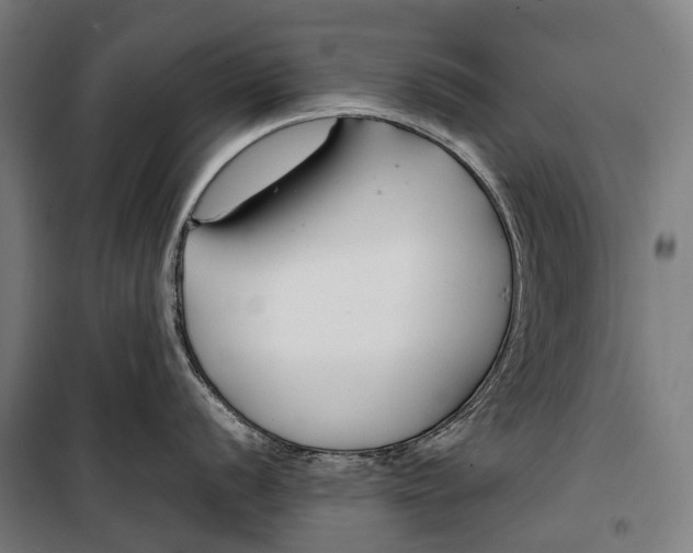X0000099511056200806121434