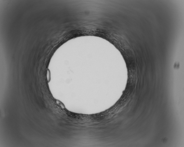 X0000099511057200806121434