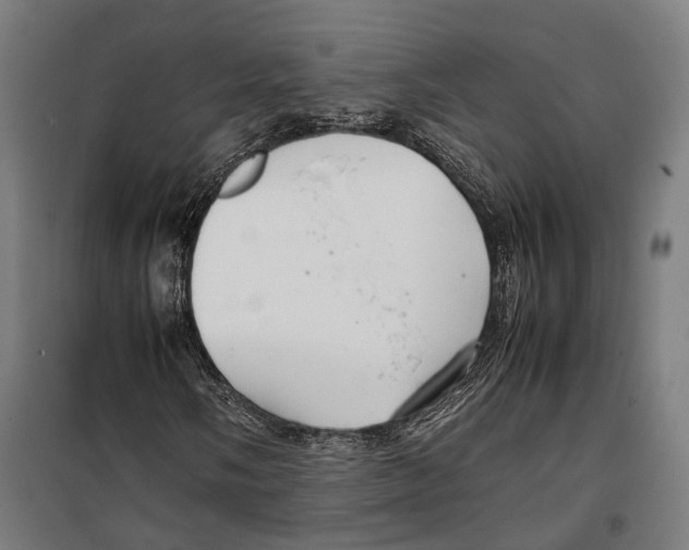 X0000099511058200806121434