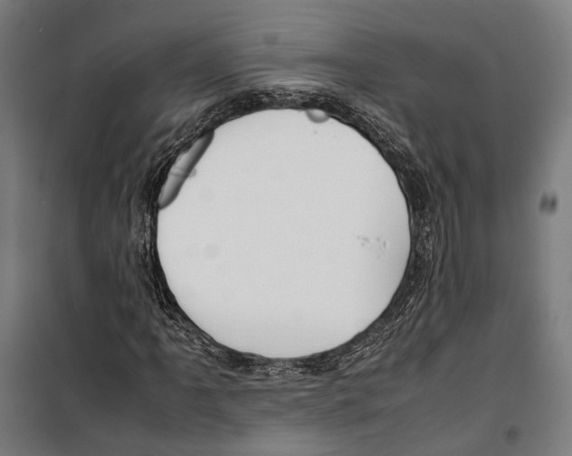 X0000099511061200806121434