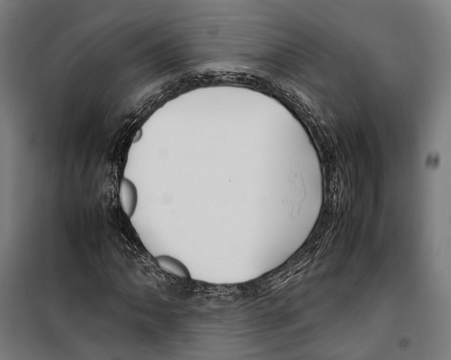 X0000099511062200806121434