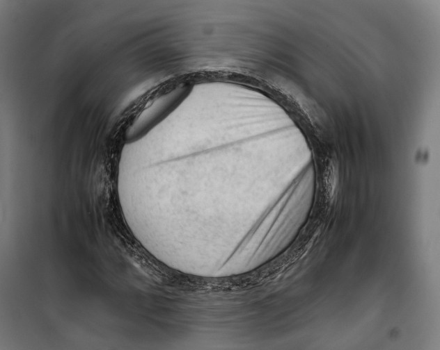 X0000099511064200806121434