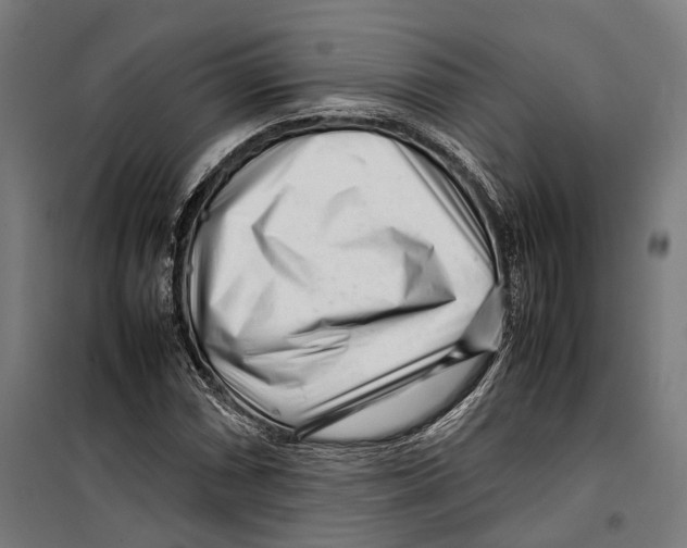 X0000099511066200806121434