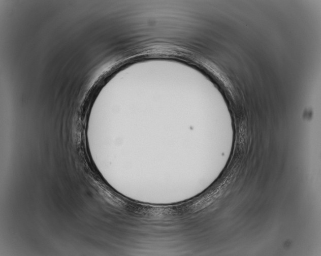 X0000099511067200806121434