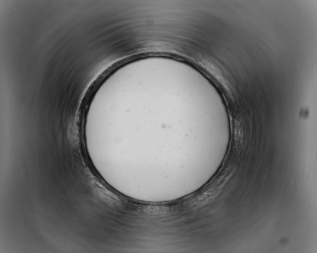 X0000099511068200806121434