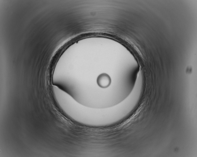 X0000099511069200806121434