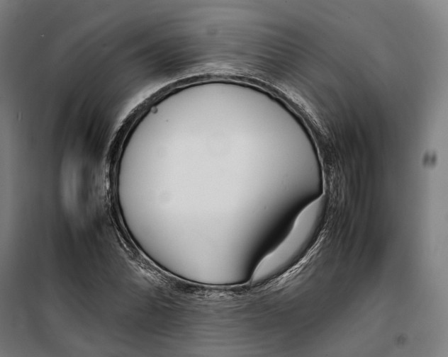 X0000099511070200806121434