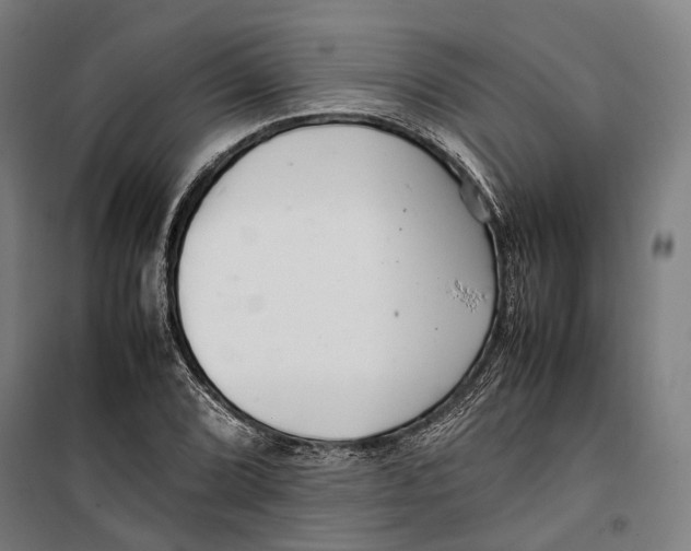 X0000099511072200806121434