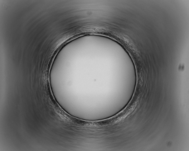 X0000099511073200806121433