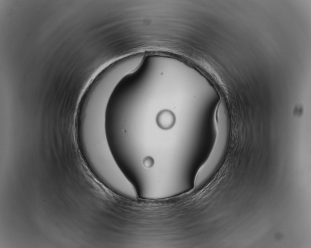 X0000099511076200806121433