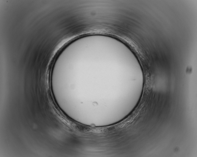 X0000099511078200806121433