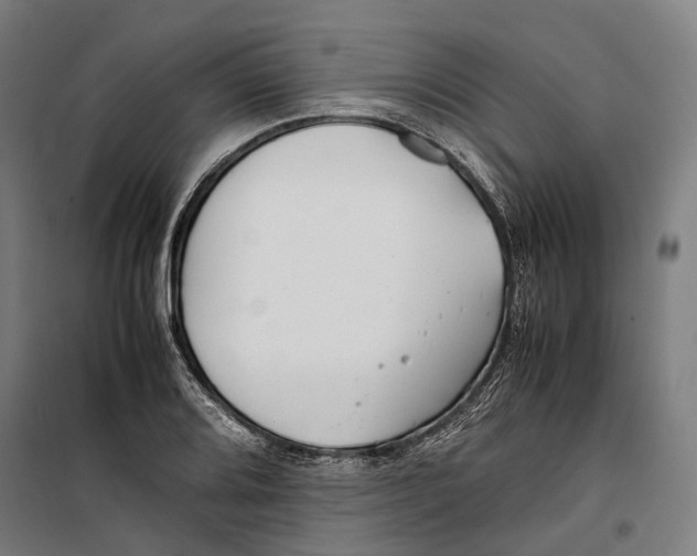 X0000099511080200806121433