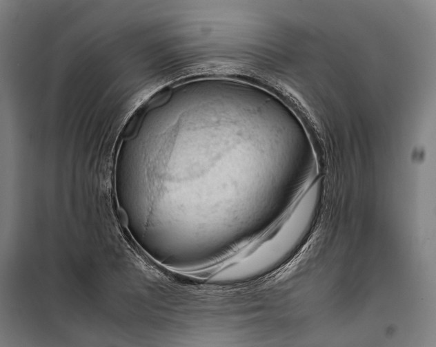 X0000099511081200806121433