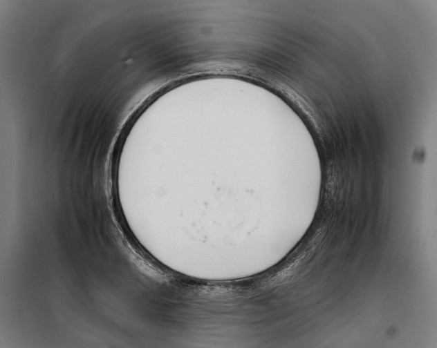 X0000099511082200806121433