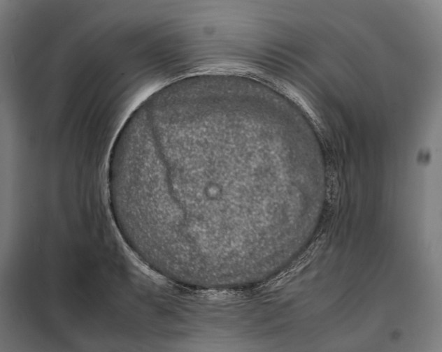 X0000099511087200806121433