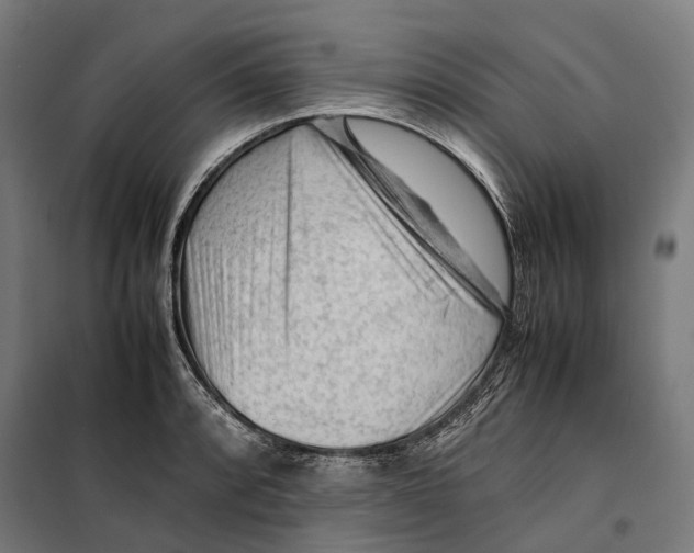 X0000099511088200806121433