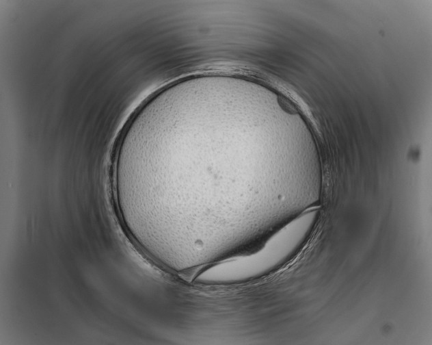 X0000099511091200806121433
