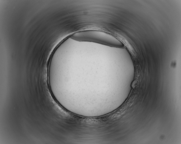 X0000099511092200806121433