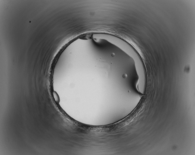 X0000099511093200806121433